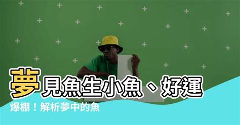 夢見魚生小魚|夢見魚生小魚是什麼意思